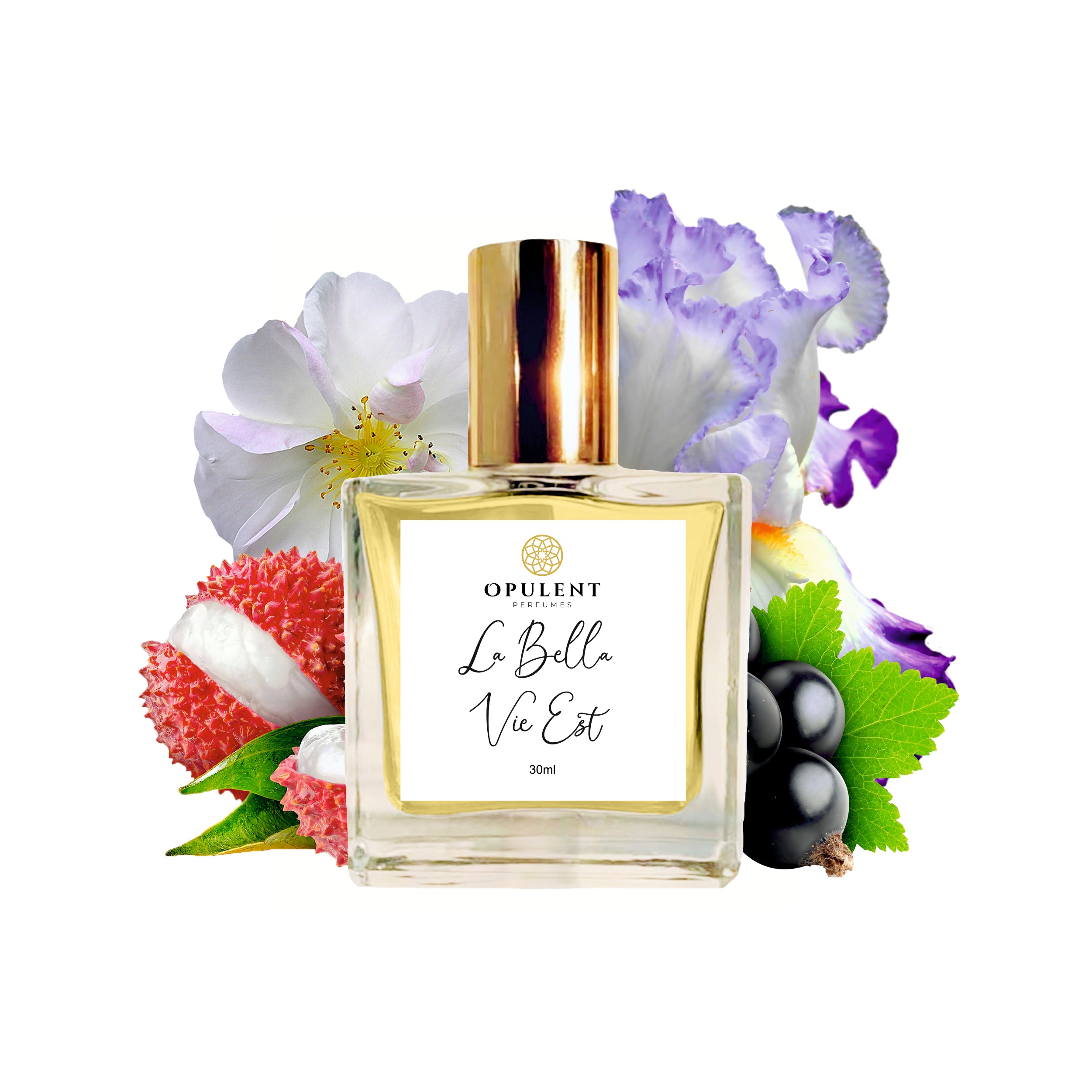 La Vie Est Belle Fm 413 Perfume La Vie Est Belle #413